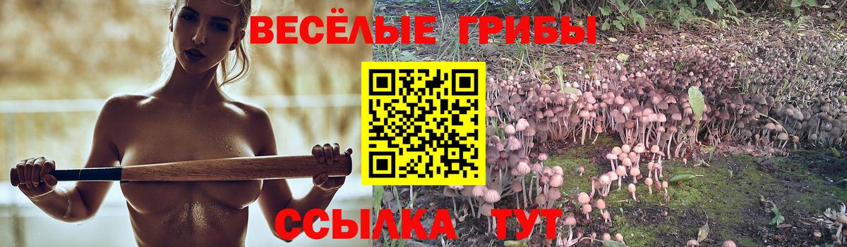 Галлюциногенные грибы MAGIC MUSHROOMS Десногорск