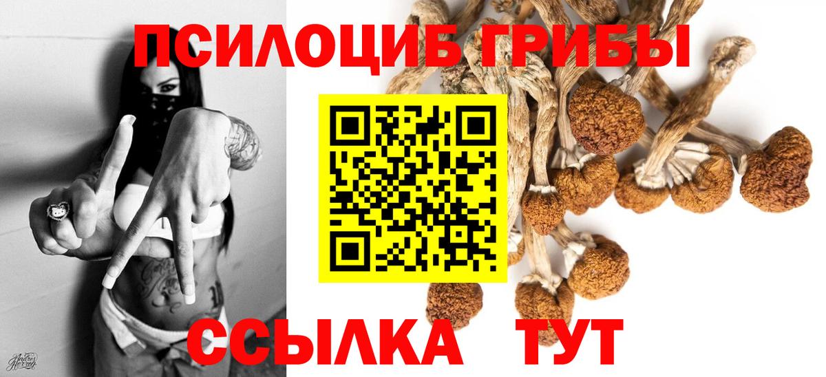 Галлюциногенные грибы Psilocybe  Вход с VPN  купить  цена  Десногорск 